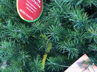 Santa's Forest Christmas Tree Farm