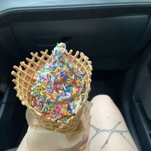 Vegan soft serve and waffle cone