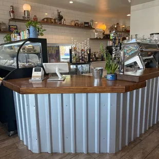 a counter with a potted plant