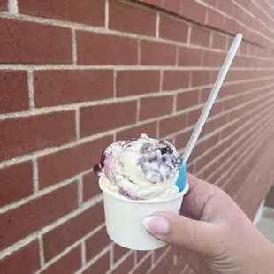 a hand holding a cup of ice cream