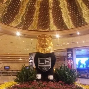 MGM lion becomes bailey!