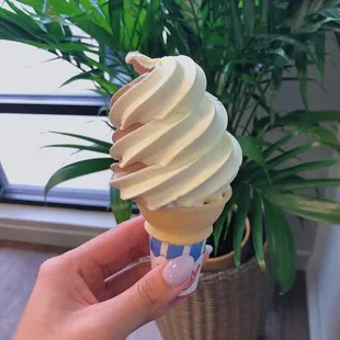 Classic vanilla/chocolate custard twist