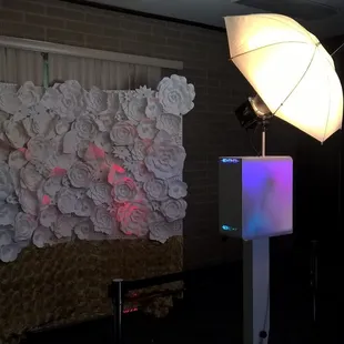 Paper Flower Wall with LED BOOTH