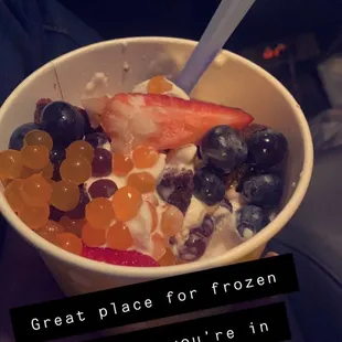 a bowl of frozen yogurt
