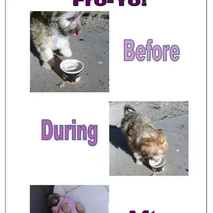 Lily love's her some fro-yo!!