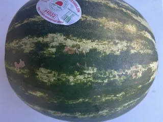 Guzman Produce Market