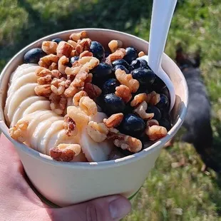 Blueberry overnight oats bowl