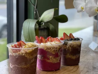 Vibe Health Bar