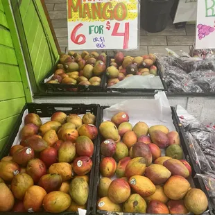 Stocked up on mangoes