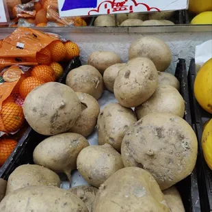 Jicamas