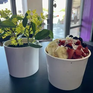 Acai Energy Bowl