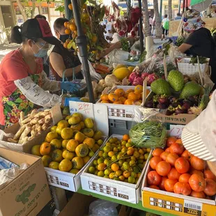 a variety of fruits and vegetables
