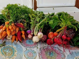 Nassau Bay Farmer's Market