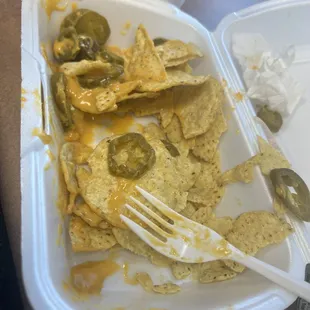 &quot;Large nachos&quot;