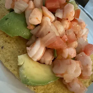 12/30/23 - lots of shrimp!