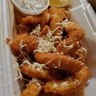 Fried Calamari