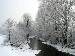 Miami Whitewater Forest