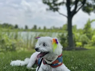 Voice of America Park