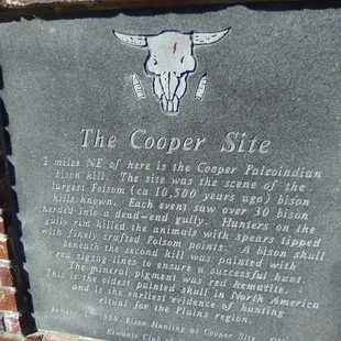 The Cooper Site