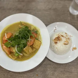 Vietnamese Curry with Fried Tofu