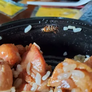 Bourbon chicken with a gross bug