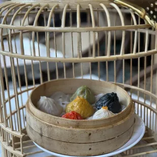 Rainbow Soup Dumplings