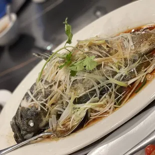 oysters and mussels, food