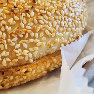 Sesame Bagel