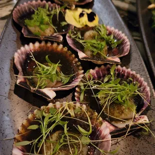 Scallops