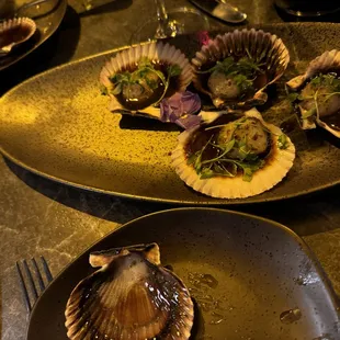 Scallops