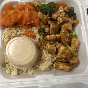 Teriyaki chicken with rice