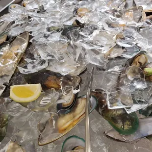 oysters and mussels, mussels, food, shellfish, oysters