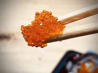 FUSIAN