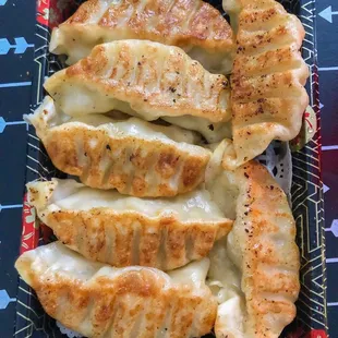 Gyoza