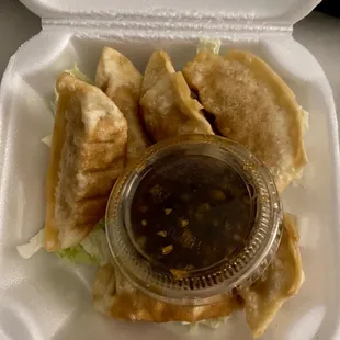 Gyoza