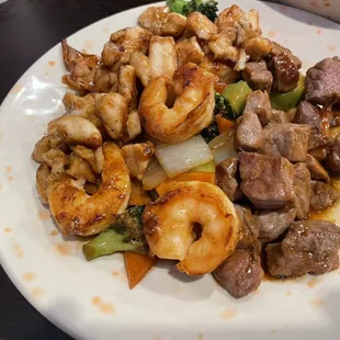 Combination Hibachi (Steak, chicken, shrimp)