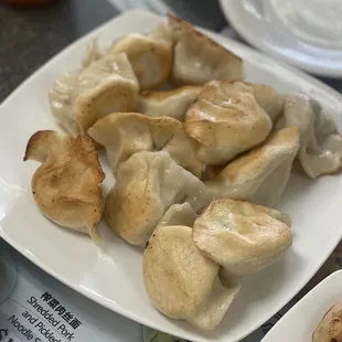 Pan Fried Dumplings