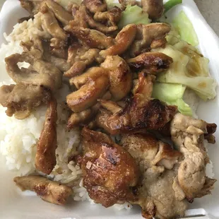 Teriyaki Special