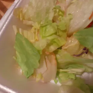 this is salad from fuji hudson brown lettuce. steak and shrimp combo was less than mediocre. Dont waste your time pr money. horrible food
