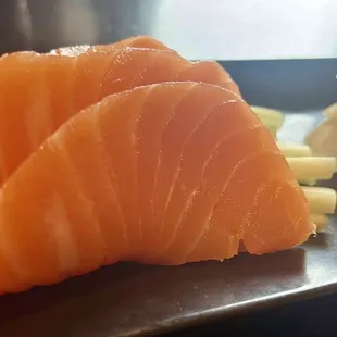 Salmon