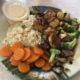Teriyaki Steak