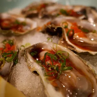 Oyster platter (sauced w/ ponzu, tabasco, green onions, masago)