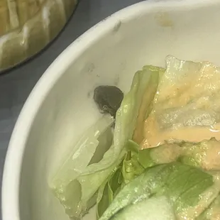 A Side of fuzz ball salad. I&apos;m not sure if it mildew or lint from the vent. ‍