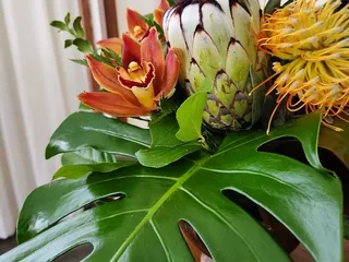 Bloom By Place
