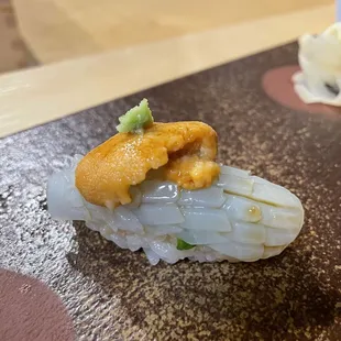 Octopus with uni