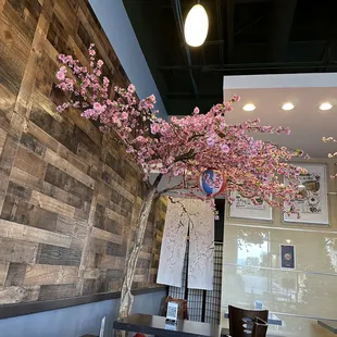 Cherry blossoms.