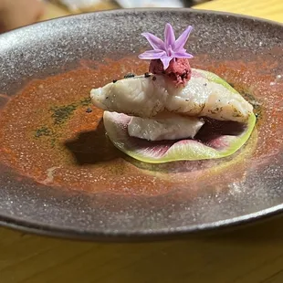 Kampachi