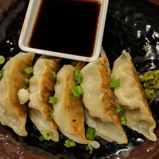 Pork Gyoza Dumplings