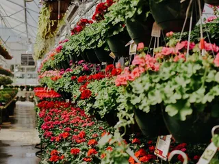 Prairie View Garden Center and Farm Market