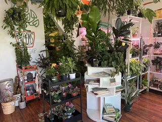 Kc Blooms Plant Boutique